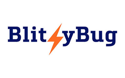 Blitzybug